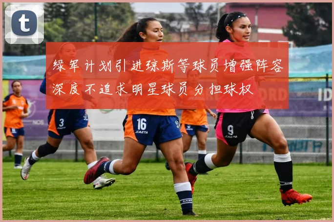 绿军计划引进琼斯等球员增强阵容深度不追求明星球员分担球权