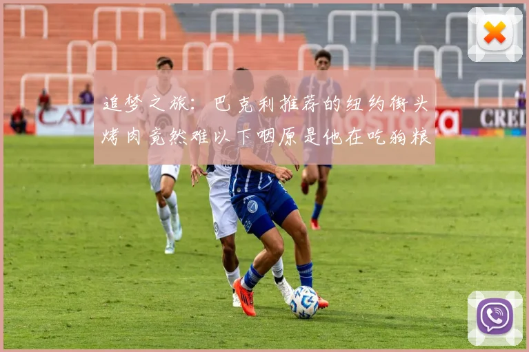 追梦之旅：巴克利推荐的纽约街头烤肉竟然难以下咽原是他在吃狗粮